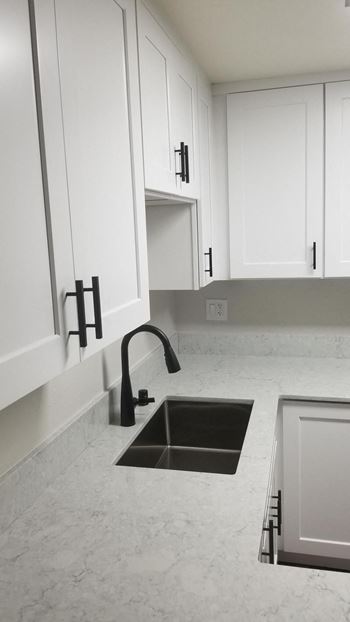 Undermount sink goose neck faucet